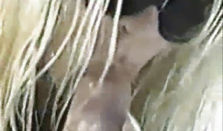 Mein versautes Hobby - Heiße Milf wird dog porno im Freien hart gefickt